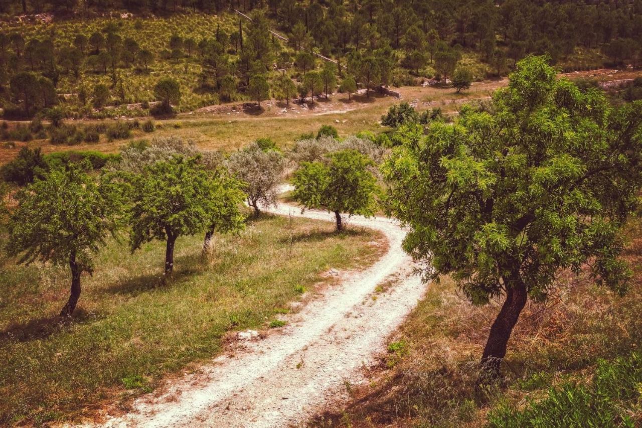 Casa Mundo - 16Th Century Traditional White Village House With Pool Pinos del Valle Εξωτερικό φωτογραφία